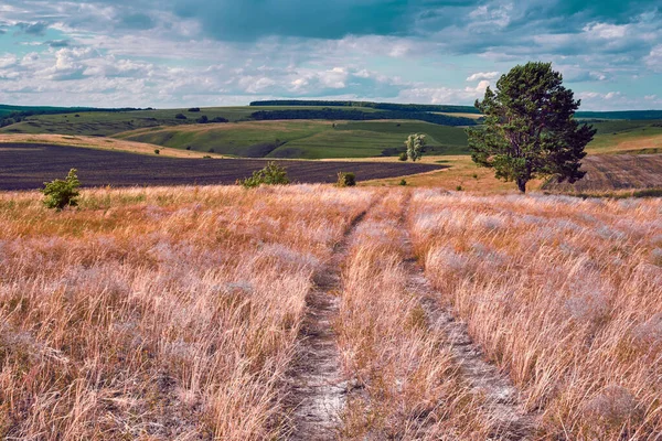 丘や国の道路と中央ロシアの農業地方 サマラ渓谷の夏の風景 ロシアの田舎だ 大判印刷用高解像度ファイル — ストック写真