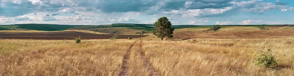 Paisagem Panorâmica Centro Rússia Campo Agrícola Com Colinas Estrada Rural — Fotografia de Stock