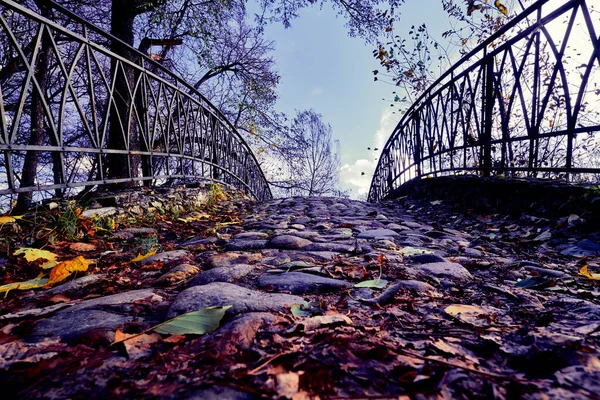 Paisagem Parque Outono Pequena Ponte Apedrejada Parque Outono Entre Árvores — Fotografia de Stock
