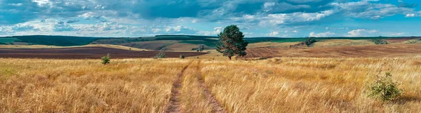 丘や田舎の道路と中央ロシアの農業地方のパノラマ風景 サマラ渓谷の夏の風景 ロシアの田舎だ 大判印刷用高解像度ファイル — ストック写真