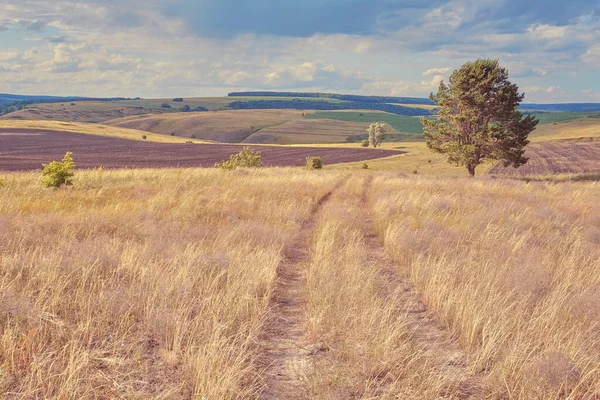 丘や国の道路と中央ロシアの農業地方 サマラ渓谷の夏の風景 ロシアの田舎 — ストック写真
