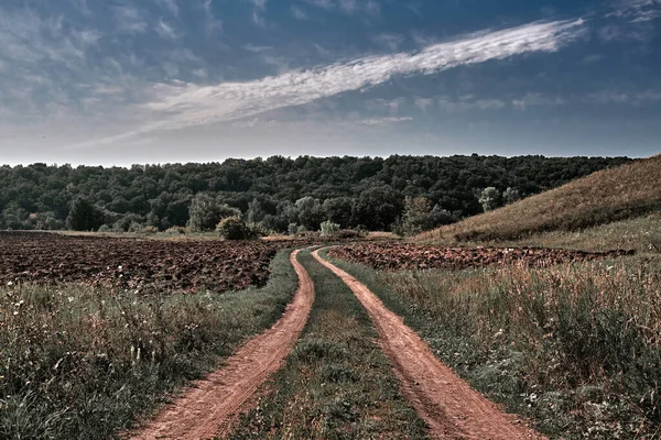 田舎道だ 丘の農村部の道路 代替色と色のグレーディング — ストック写真