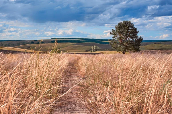 Střední Rusko Zemědělská Krajina Kopci Venkovské Silnice Letní Krajina Údolí — Stock fotografie