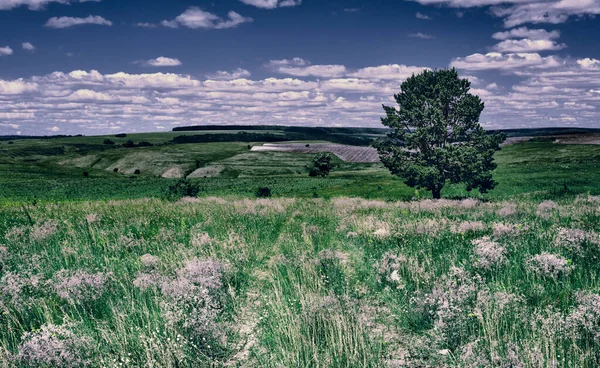 丘や田舎の道路と中央ロシアの農業地方のパノラマ風景 サマラ渓谷の夏の風景 ロシアの田舎 — ストック写真