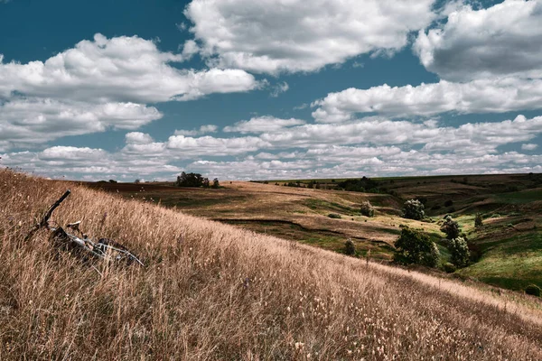 丘や田舎の道路と中央ロシアの農業地方のパノラマ風景 サマラ渓谷の夏の風景 ロシアの田舎 — ストック写真