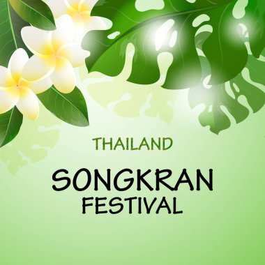 Tayland Songkran Festivali. Tay vektör tebrik kartı beyaz çiçekler ve yeşil yaprakları ile tatil. Songkran Tayland yeni yıl poster.