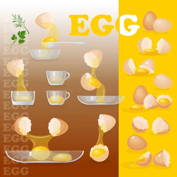 Ilustração Vetorial Com Ovos Gemas Branco Cascas Ovos Taças Vidro —  Vetores de Stock