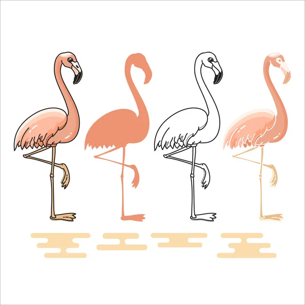 Vektor Illustration Von Flamingo Silhouetten Isoliert Auf Weißem Hintergrund — Stockvektor