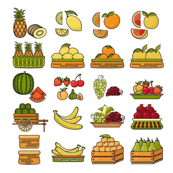 Conjunto Vetores Design Plano Bonito Ícone Frutas Coloridas Isolado Fundo — Vetor de Stock