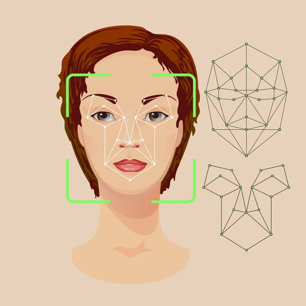 Žena Tvář Čar Teček Pro Identitu Uznání Obličejové Biometrická Identita — Stockový vektor