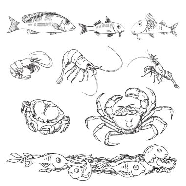 Çeşitli deniz yaratıkları simgeler kümesi. Balık, yengeç ve karides çizim vektör çizim ver. Deniz temalı soyut tasarım öğeleri. Beyaz arka plan üzerinde izole siyah doğrusal simgesi.