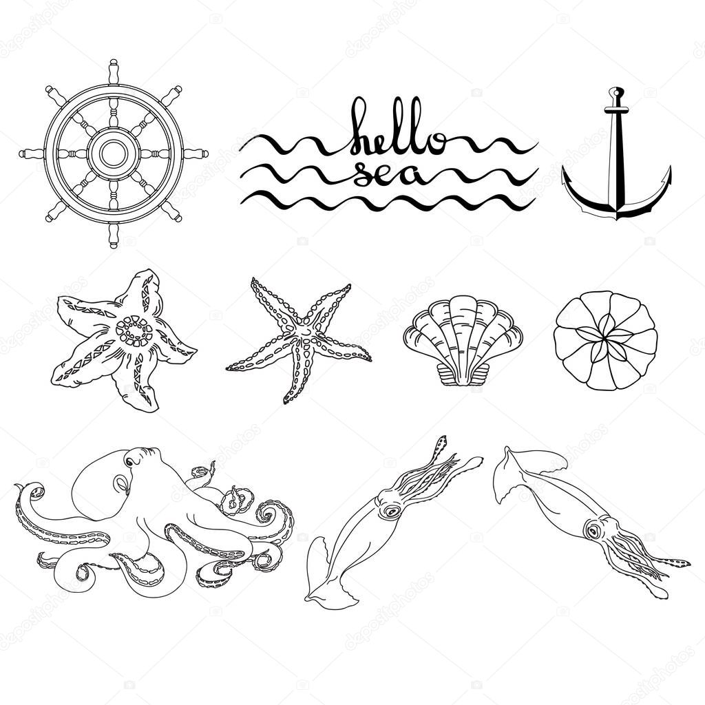 Hello sea. Set of various sea creatures icons. Hand drawing vector illustration of squid, anchor octopus and starfish. Marine-themed design elements. Black linear icon isolated on white background.