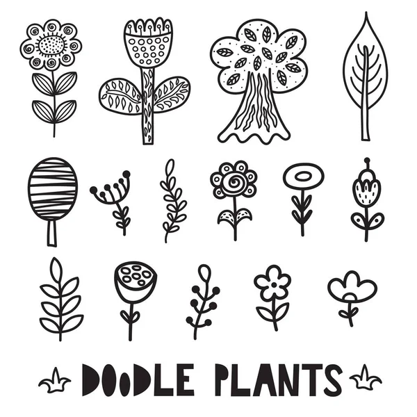 Schwarz Weiße Doodle Pflanzen Und Blumen Elemente Niedliche Florale Kollektion — Stockvektor