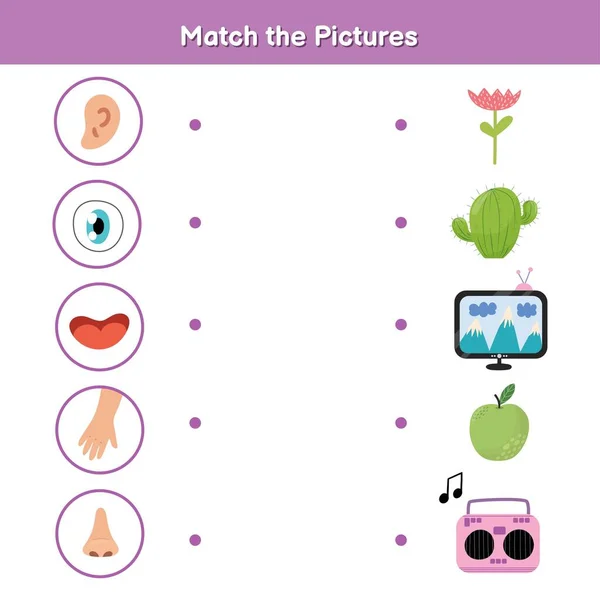 Cinq sens correspondant jeu pour les enfants. Vue, toucher, ouïe, odeur et goût — Image vectorielle