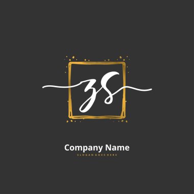 Z S ZS İlk el yazısı ve daireyle imzalı logo tasarımı. Moda, takım, düğün, lüks logo için güzel tasarım logosu.