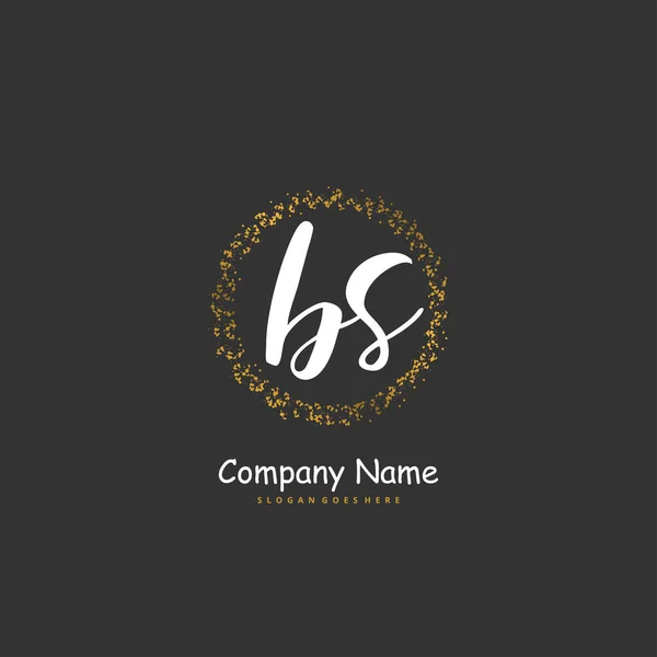 Bs円と初期手書きと署名のロゴデザイン ファッション チーム 結婚式 高級ロゴのための美しいデザイン手書きのロゴ — ストックベクタ