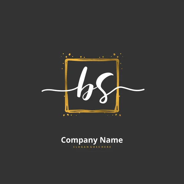 Bs円と初期手書きと署名のロゴデザイン ファッション チーム 結婚式 高級ロゴのための美しいデザイン手書きのロゴ — ストックベクタ