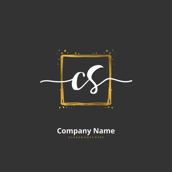 Initiale Handschrift Und Logodesign Mit Kreis Schöne Design Handgeschriebenen Logo — Stockvektor