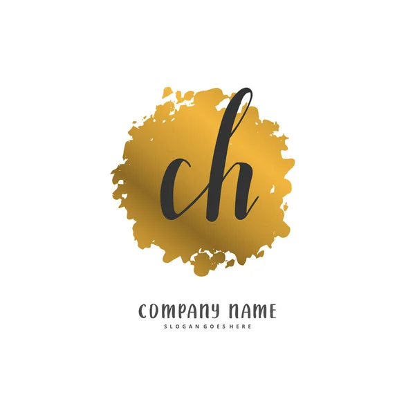 Iniziale Calligrafia Firma Logo Design Con Cerchio Bella Progettazione Logo — Vettoriale Stock