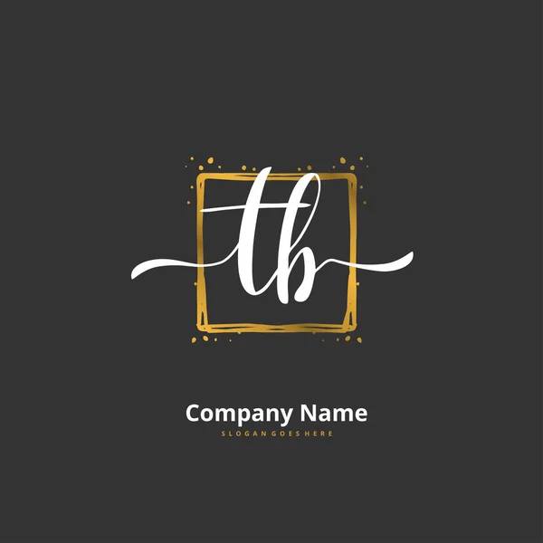 Tb円と初期手書きと署名のロゴデザイン ファッション チーム 結婚式 高級ロゴのための美しいデザイン手書きのロゴ — ストックベクタ