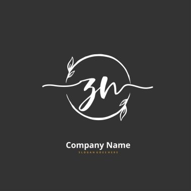 Z N ZN İlk el yazısı ve daireyle imzalı logo tasarımı. Moda, takım, düğün, lüks logo için güzel tasarım logosu.