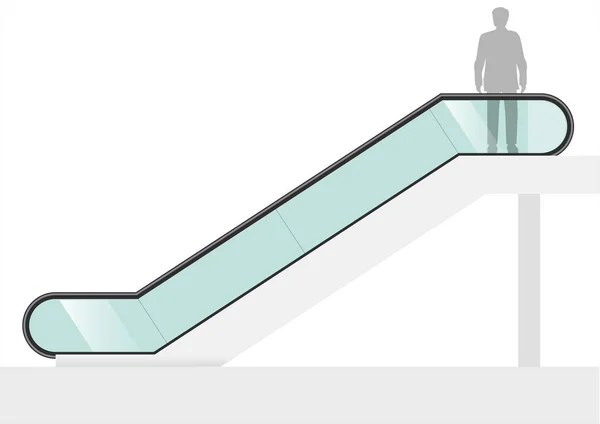 Doppelrolltreppe Einkaufszentrum Oder Büro Mit Transparentem Glas Vektorgrafik — Stockvektor