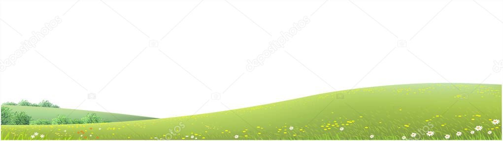 Wide background with green