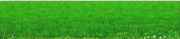 Vetor verde gramado grama textura — Vetor de Stock
