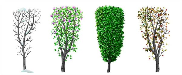 부시 와 시즌 겨울 봄 가을 여름 — 스톡 벡터
