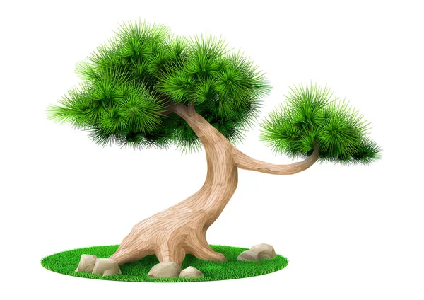 Pin decorativ bonsai copac izolat — Vector de stoc