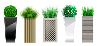 Bitkilerle dolu saksılarda dekoratif set.