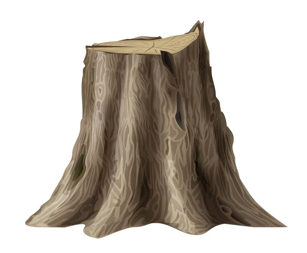 Grande árvore velha tronco de carvalho quebrado — Vetor de Stock