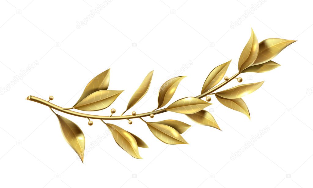 Vector graphics. Golden laurel branch is part of the winner wreath. Classic realistic template