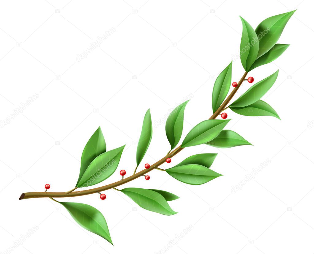 Tree twig laurel wreath with green leaves