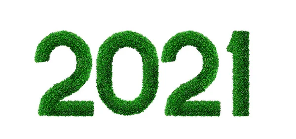 Номер 2021 из зеленой травы и листьев — стоковый вектор