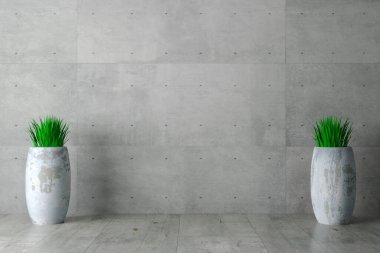 Gri duvar beton monolitik arkaplan ve çömleklere bitki