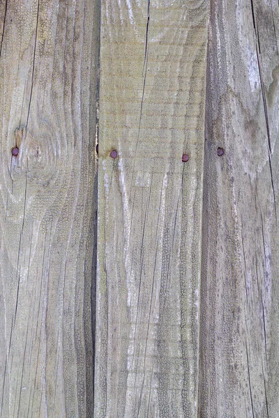 Abstract Multicolored Background Wooden Texture Old Fence Rusty Nails — Stock Photo, Image