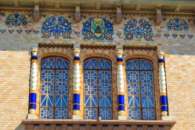 Poltava, Ukrayna - 17 Mayıs 2018: Vasili Krichevsky sonra adlı Poltava Yerel Tarih Müzesi. Bina 1908 yılında inşa edilmiştir. Poltava region Ukrayna mimari stilinde ilk örneği