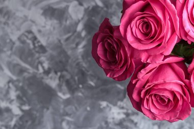 Romantik arka plan. Kırmızı gül beton bir tablo. Uzay kopyalayın. Üstten görünüm. Düz yatıyordu.