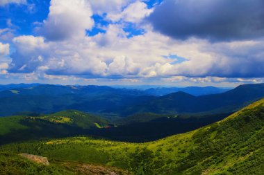 Karpat dağlarında yaz manzarası. Hoverla dağının zirvesinin görünümü