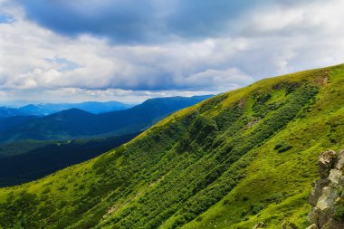 Karpat dağlarında yaz manzarası. Hoverla dağının zirvesinin görünümü