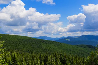 Karpat dağlarında yaz manzarası. Hoverla dağının zirvesinin görünümü