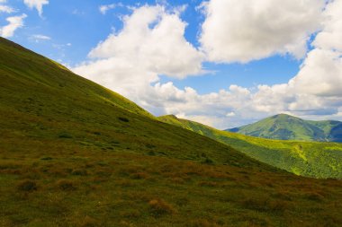 Karpat dağlarında yaz manzarası. Hoverla dağının zirvesinin görünümü