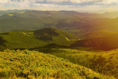 Karpat dağlarında yaz manzarası. Hoverla dağının zirvesinin görünümü