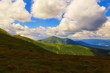 Karpat dağlarında yaz manzarası. Hoverla dağının zirvesinin görünümü