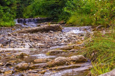 Ukrayna, Karpatlar. Dağ nehri, Black Cheremosh 'un bir kolu.