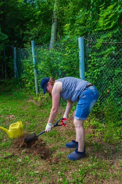 Work in the garden. Woman digs a hole for planting spruce seedlings in the garden Stock Photo