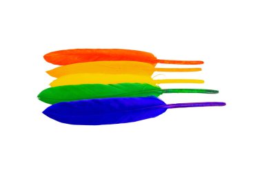 LGBT kuş tüyü topluluğunun gökkuşağı bayrağı beyaz arka planda izole edilmiştir. Yüksek kalite fotoğraf