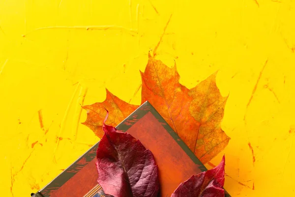 Autumn concept. A book and autumn leaves on a yellow concrete background. Close up. Selective focus — Stock Photo, Image