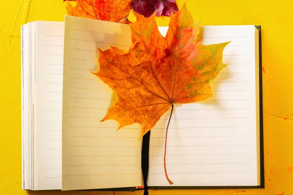 Jesienna koncepcja. Otwarty notatnik i jesienne liście na żółtym betonowym tle. Widok z góry — Zdjęcie stockowe